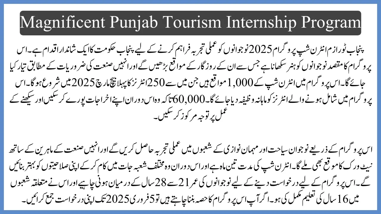 Magnificent Punjab Internship Program